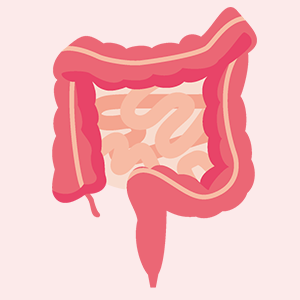 大腸内視鏡検査とは